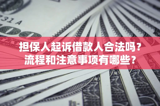 武汉担保人起诉借款人合法吗？流程和注意事项有哪些？