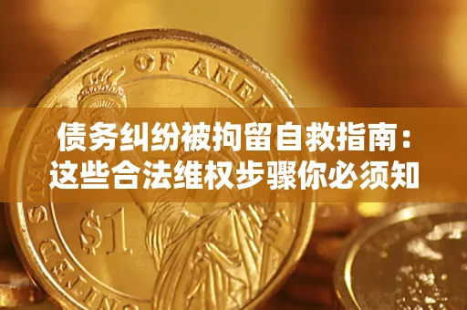 武汉债务纠纷被拘留自救指南：这些合法维权步骤你必须知道！
