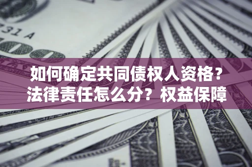 武汉如何确定共同债权人资格？法律责任怎么分？权益保障技巧揭秘！