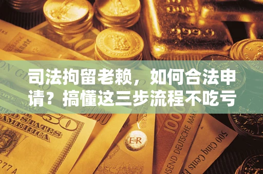 武汉司法拘留老赖，如何合法申请？搞懂这三步流程不吃亏！