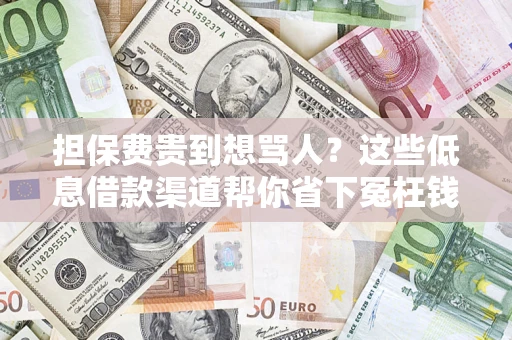 武汉担保费贵到想骂人？这些低息借款渠道帮你省下冤枉钱