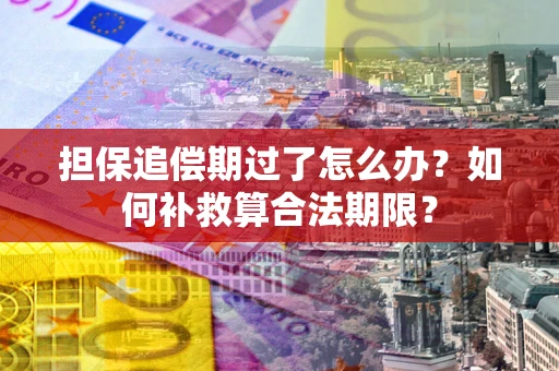 武汉担保追偿期过了怎么办？如何补救算合法期限？