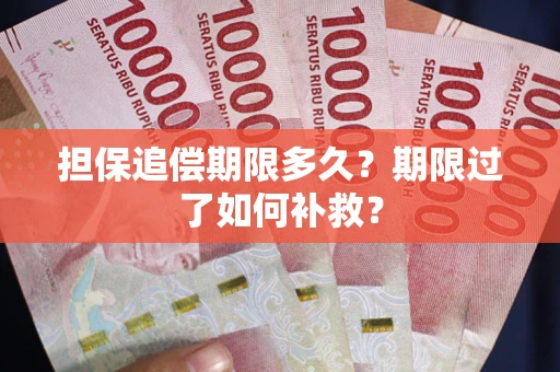 武汉担保追偿期限多久？期限过了如何补救？