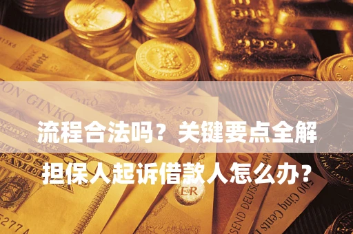 武汉

担保人起诉借款人怎么办？流程合法吗？关键要点全解析
