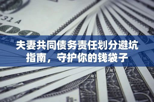 武汉夫妻共同债务责任划分避坑指南，守护你的钱袋子