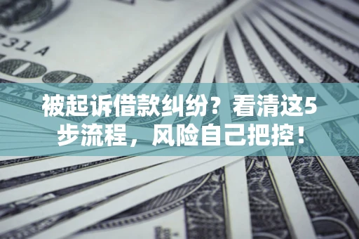 武汉被起诉借款纠纷？看清这5步流程，风险自己把控！