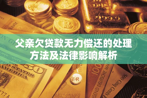 武汉父亲欠贷款无力偿还的处理方法及法律影响解析