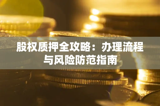 武汉股权质押全攻略：办理流程与风险防范指南