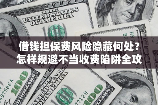 武汉借钱担保费风险隐藏何处？怎样规避不当收费陷阱全攻略！